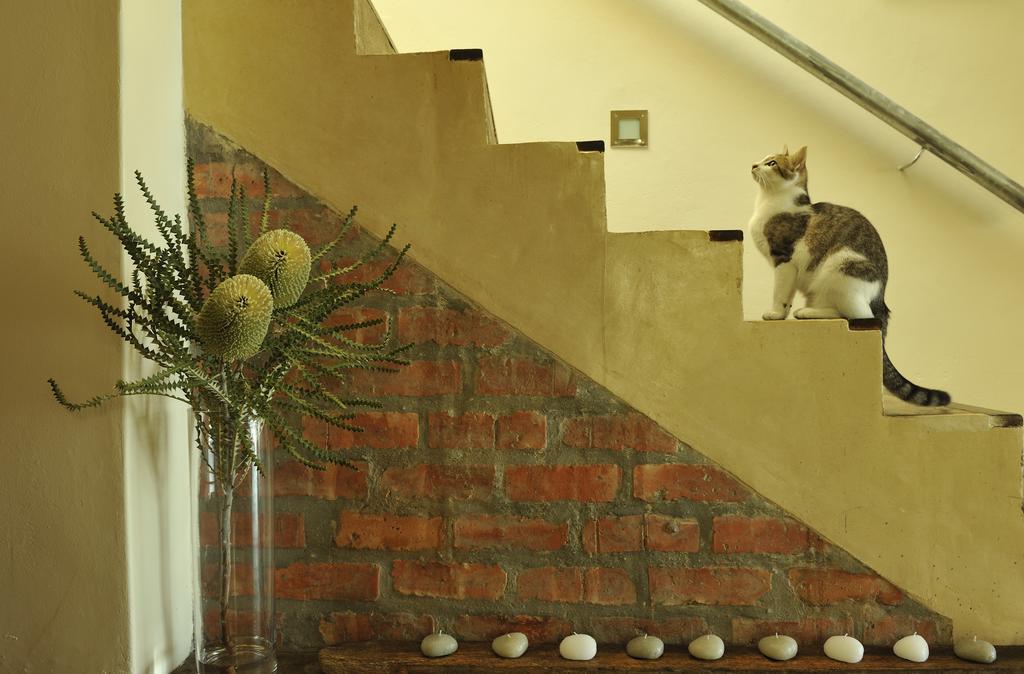 Whalesong Lodge Gansbaai Buitenkant foto