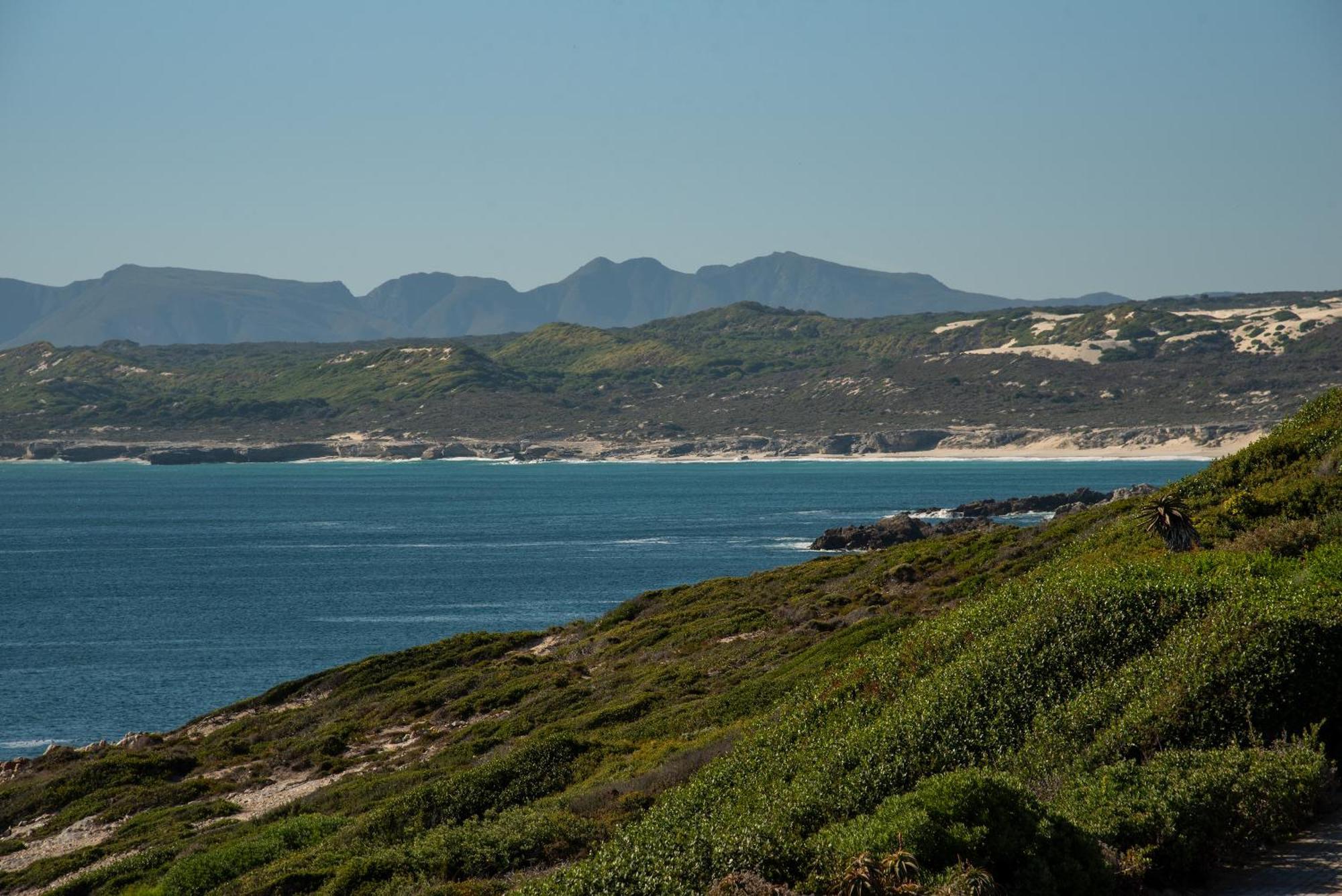 Whalesong Lodge Gansbaai Buitenkant foto