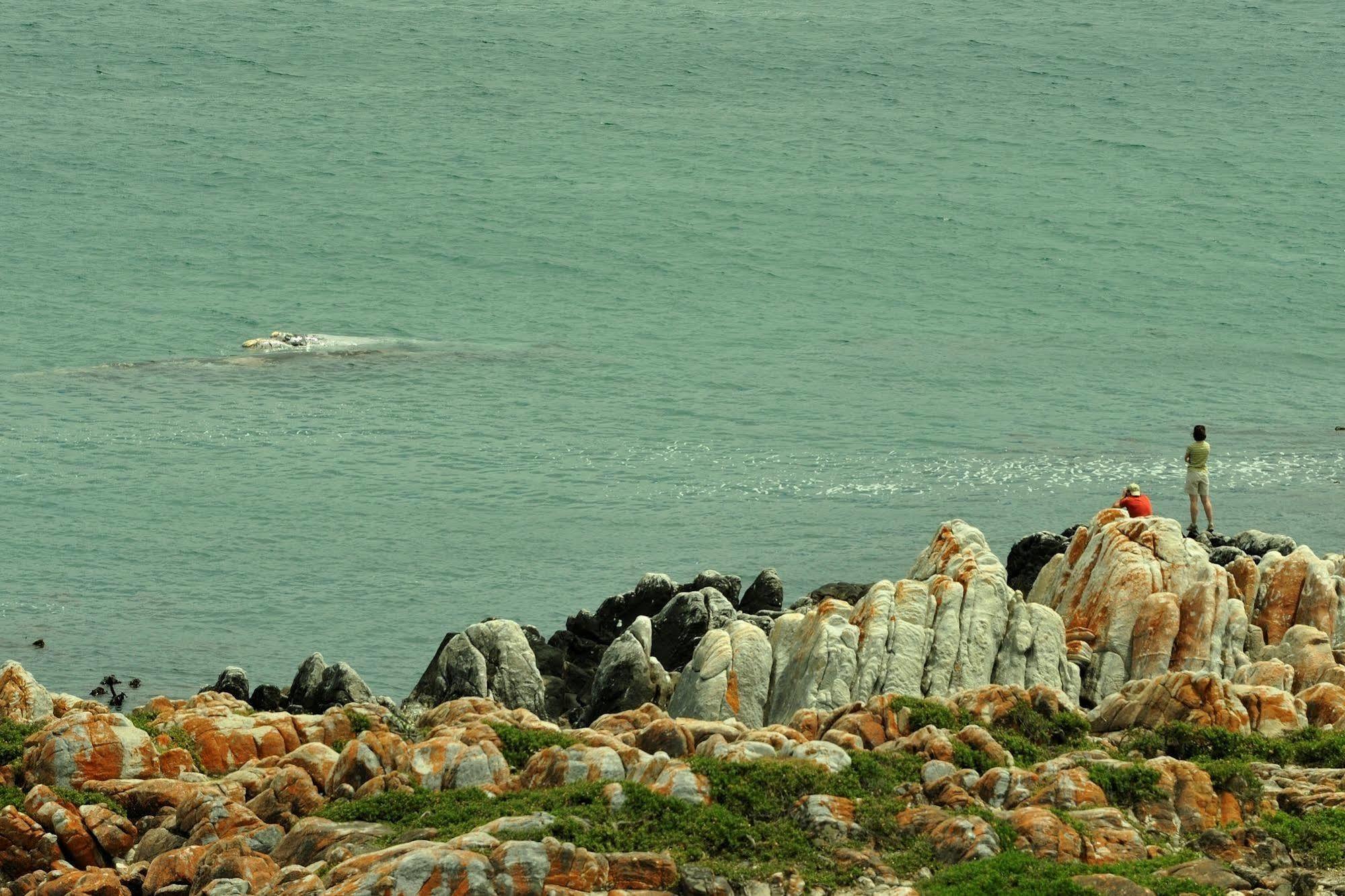 Whalesong Lodge Gansbaai Buitenkant foto