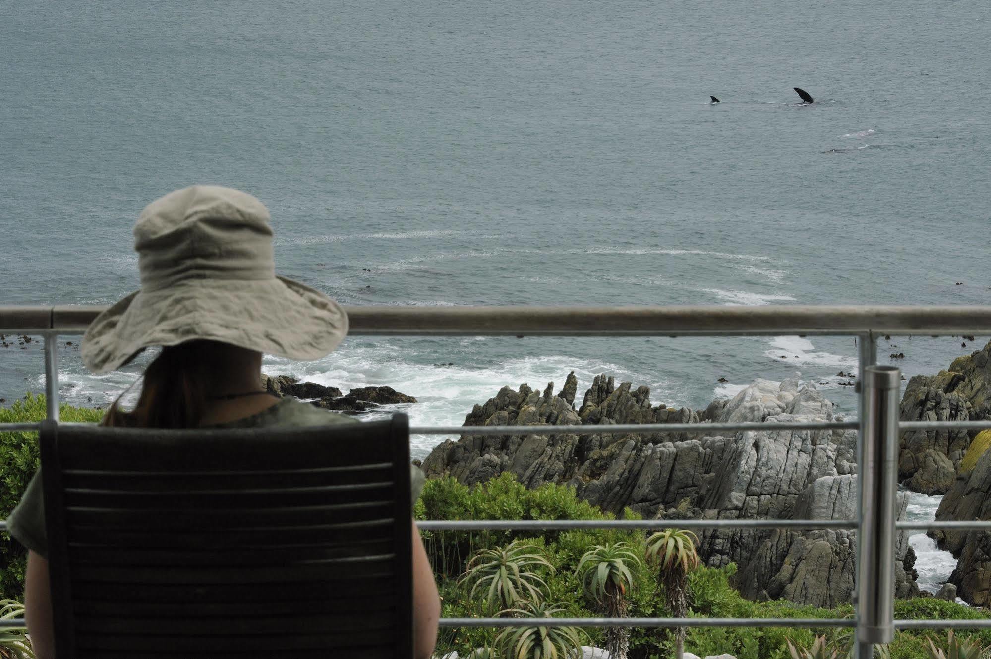 Whalesong Lodge Gansbaai Buitenkant foto